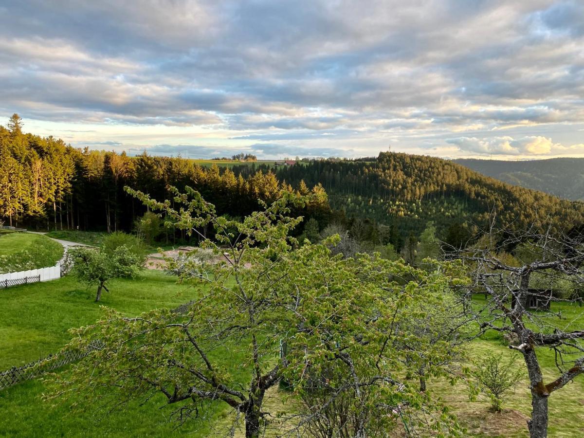 Ferienhaus Mit 5* Luxus Im Schwarzwald Gemeinde Gemeinde Aichhalden Kültér fotó