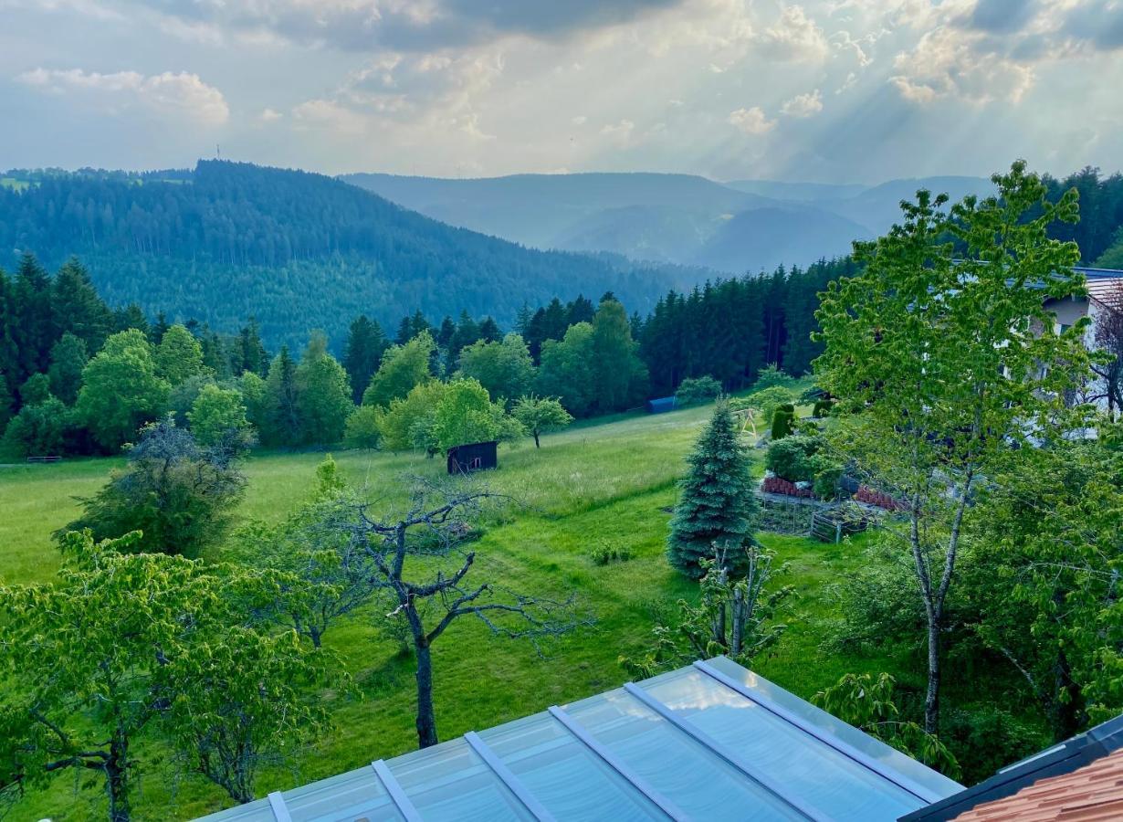 Ferienhaus Mit 5* Luxus Im Schwarzwald Gemeinde Gemeinde Aichhalden Kültér fotó